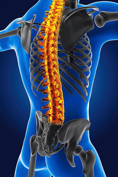 columna-vertebral-hombre-3d-naranja-con-esqueleto