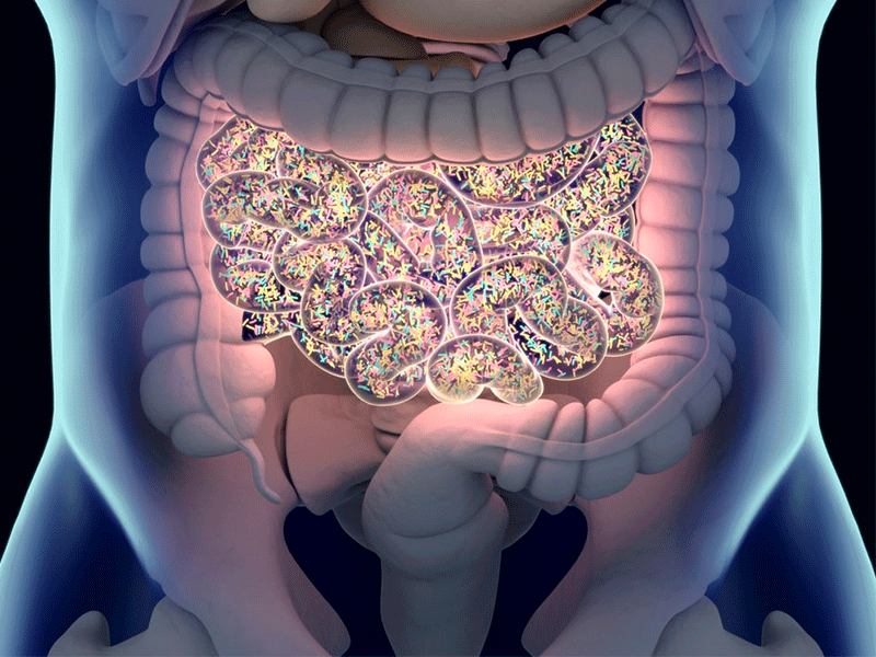 Microbiota en radiografia de intestino delgado