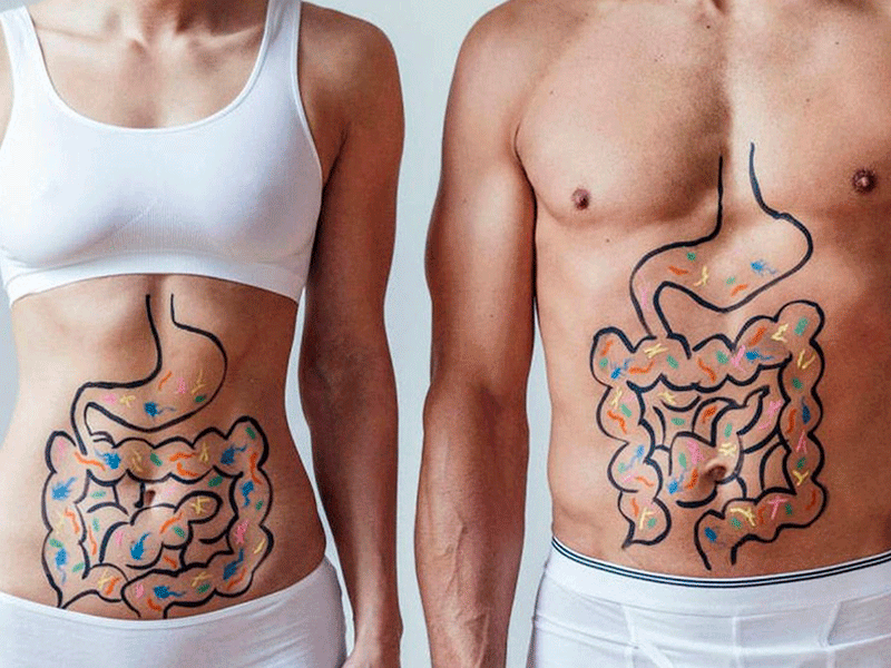Dibujo de sobrecrecimiento bacteriano en el intestino delgado ( SIBO ) en pacientes Fernando Arco Fisioterapia Almería