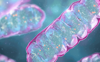 Descubre el Secreto de la Hidratación Mitocondrial