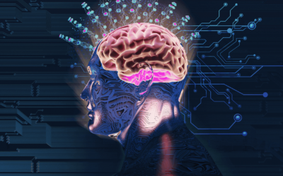 Gut-Brain Axis en Rehabilitación – Descubre la Conexión Intestino-Músculo