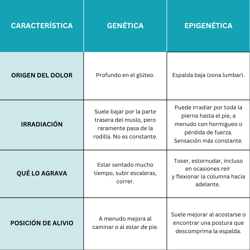 CARACTERÍSTICA (480 x 480 px) cuadro resumen diferencia piramidal y falsa ciatica