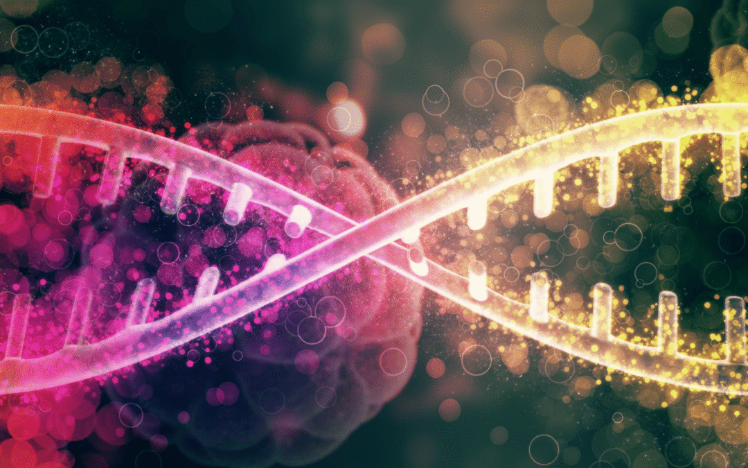 Epigenética: Cómo Encender o Apagar tus Genes