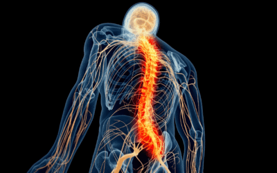 Fisioterapia y Hormonas en Mujeres: (Menopausia + Endometriosis) 1 5 Técnicas para Relajar el Nervio Vago