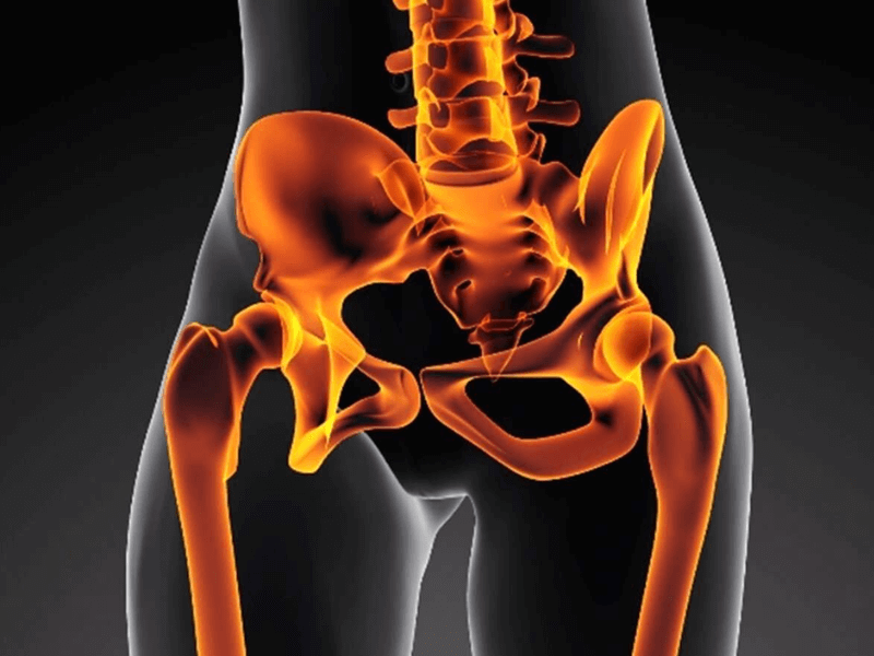 Fernando Arco Centro de Fisioterapia en Almería (4) Ilustración anatómica del músculo piramidal mostrando su relación con el nervio ciático, clave para entender el origen del dolor en glúteo y pierna.