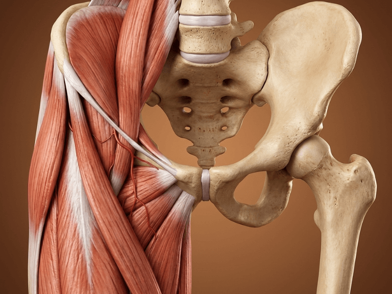 Fernando Arco Centro de Fisioterapia en Almería imagen de sobrecarga en adductor